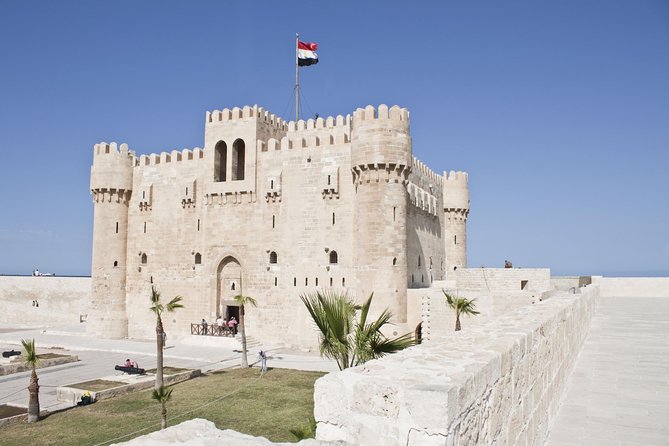 Cairo to Alexandria Full-Day Tour Including National Museum  - Giza - Visitor Feedback
