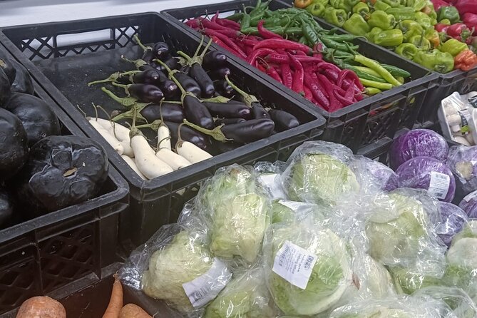 Cairo to Bahariya Oasis and Black and White Deserts: Day Tour - Directions and Logistics