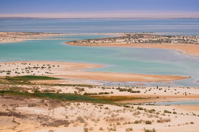 Cairo to Fayoum Oasis and Wadi Al Rian Tour - Expectations and Highlights