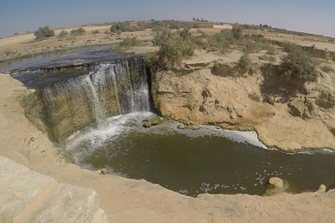 Cairo to Fayoum Oasis and Wadi Al Rian Tour - Additional Information