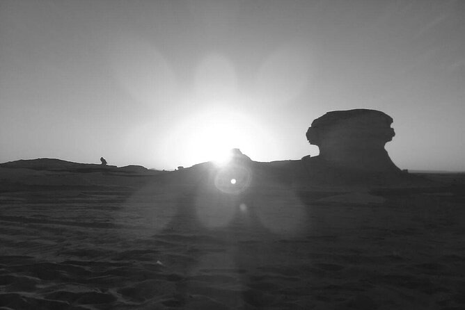 Cairo to Luxor and Aswan 5-Day Nile Cruise Including Flights (Feb ) - Detailed Itinerary for the 5-Day Nile Cruise