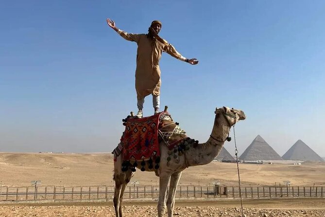 Cairo Top Tour in Day Tour To Cairo By Sleeping Train - Price and Booking Information