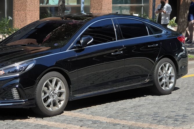 Cairo Tour To Pyramids of Giza, Great Sphinx With Private Car - Important Reminders