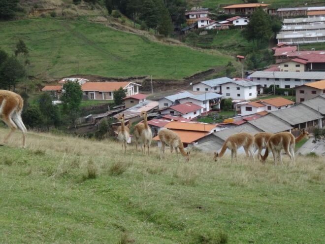 Cajamarca Porcón Farm and Otuzco - Reservation Details