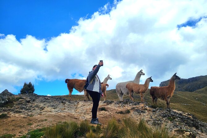 Cajas National Park Small-Group Tour From Cuenca - Overview of the Tour