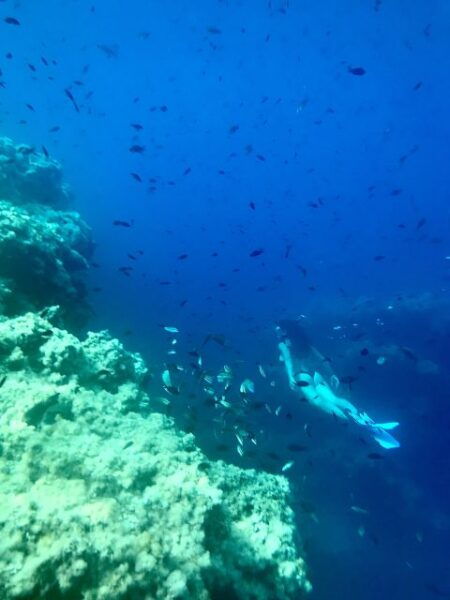 Cala Codolar: Guided Sea Kayaking and Snorkeling Tour - Frequently Asked Questions