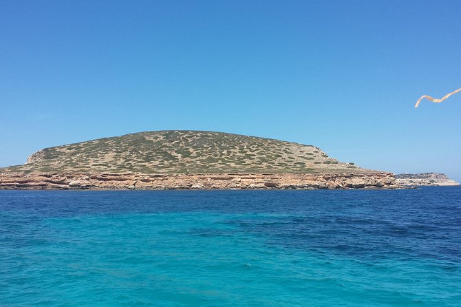 Cala Comte Private Catamaran Tour - What to Expect