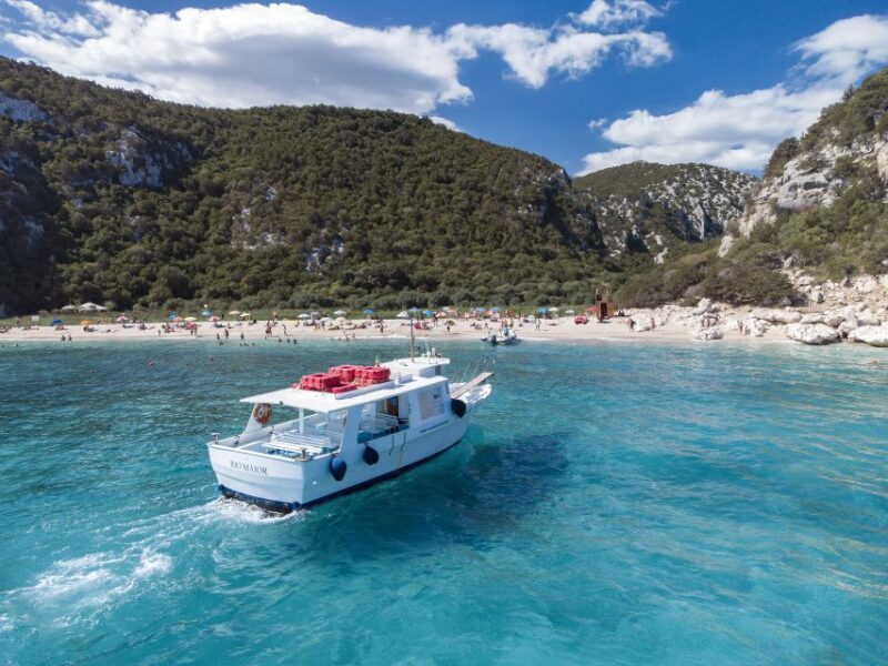 Cala Gonone: Boat ride to Cala Luna beach - Who Would Love This Tour?