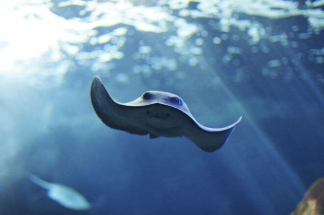 Cala Gonone: Cala Gonone Aquarium Entry Ticket - Cancellation Policy