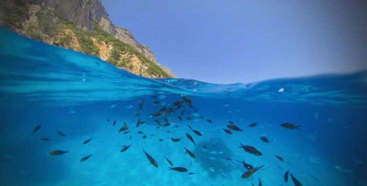 Cala Gonone: Dinghy Cruise With Aperitivo - Good To Know