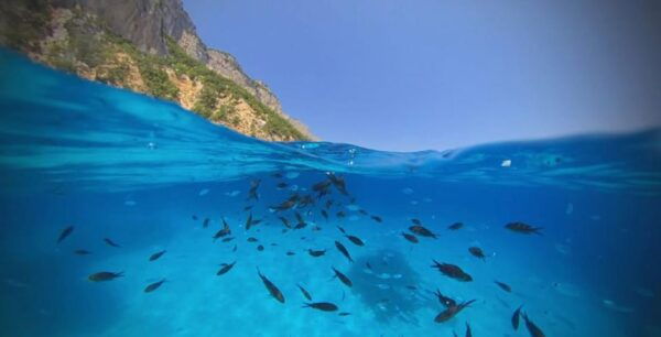 Cala Gonone: Dinghy Cruise With Aperitivo - Customer Reviews