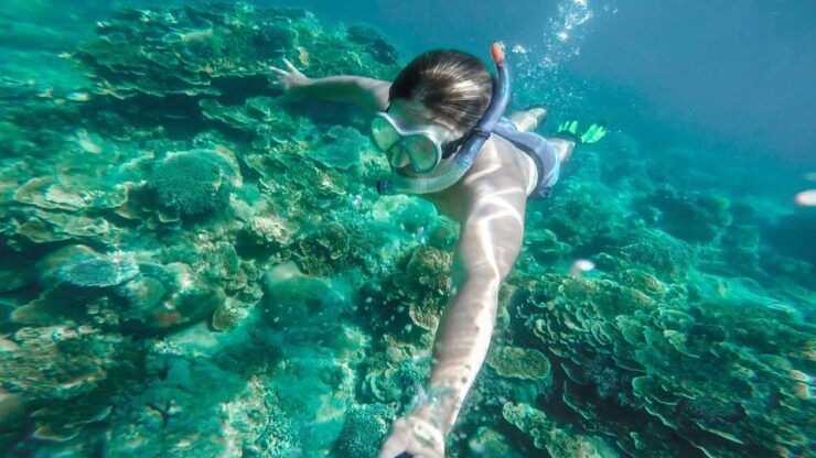 Cala Gonone: Snorkeling at S'abba Meica Beach - Booking Information for Snorkeling Experience