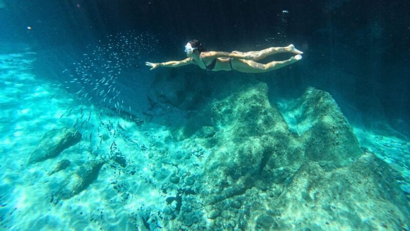 Cala Gonone: Snorkeling in the Orosei Gulf - Good To Know