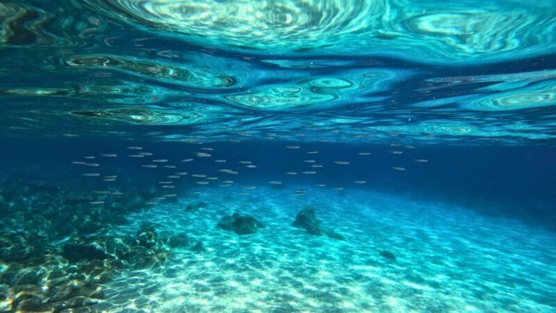 Cala Gonone: Snorkeling in the Orosei Gulf - An Authentic Look at the Snorkeling Tour in Cala Gonone
