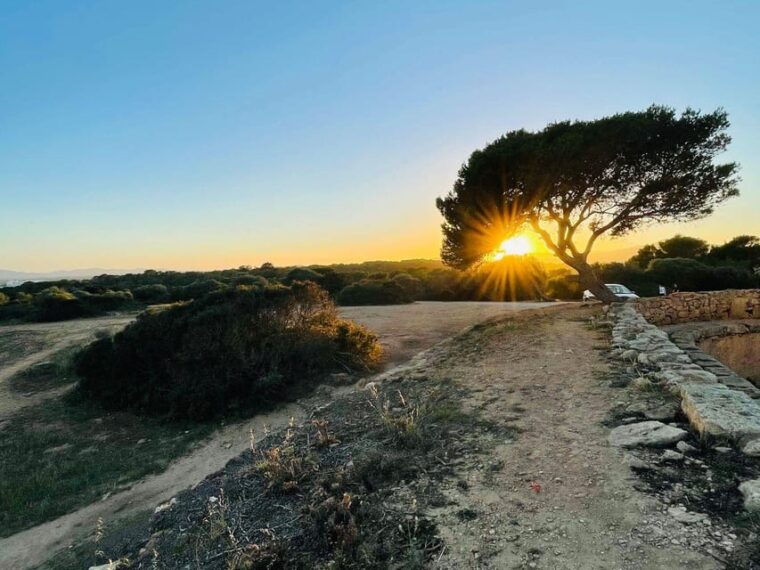 Cala Millor: Adventuredate, Fun Game, City Walk for Couples - Logistics and Meeting Information