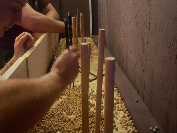 Cala Millor: Funchallenge,Indoor Game, Duels, Creative Tasks - Frequently Asked Questions