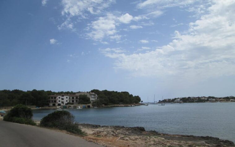 Cala Millor / Sa Coma: Buggy or Mini Jeep Tour - Approx. 3 Hours - Safety and Environmental Considerations