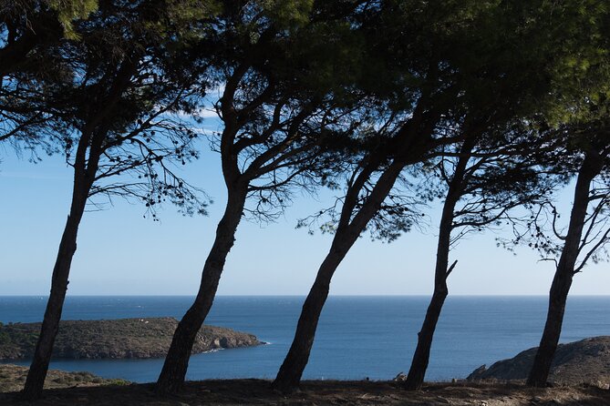 Cala Montjoi 2h 30 Experience - Reviews and Meeting Point