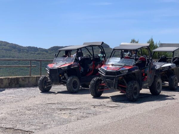 Cala Ratjada: Exclusive Buggy Tour Also for Families - Safety Measures