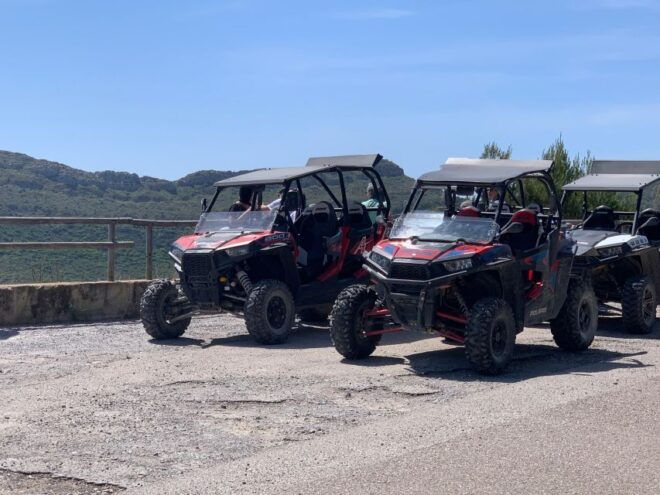 Cala Ratjada: Exclusive Buggy Tour Also for Families - Requirements and Information