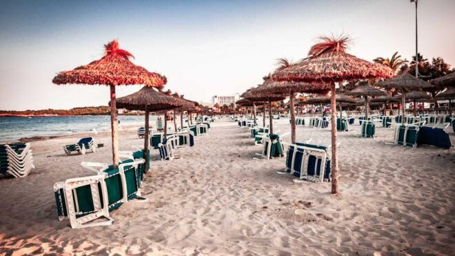 Cala Ratjada: Magical Creatures of Cala Ratjada, Family Walk - Booking and Meeting Information