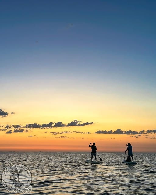 Cala Ratjada: Stand Up Paddle Sunrise Tour - Highlights of the Experience
