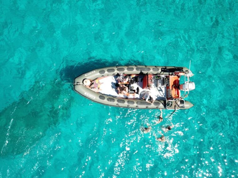 Cala Ratjada: SUP SAFARI TOUR 2H - Safety Considerations