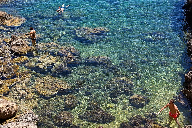 Cala Salada and Unspoiled North Beach Tour. Snorkelling and Aquarium - Additional Information and Booking Details
