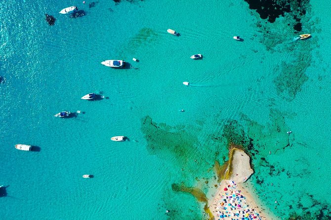 Cala Salada and Unspoiled North Beach Tour. Snorkelling and Aquarium - Common Questions
