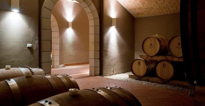 Calabria: Wine Tour & Tasting - From Land to Glass