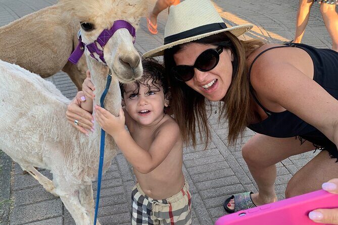 Calabrian Alpacas Sunset Beach Experiences Pizzo VV AlpacSelfies - An In-Depth Look at the Calabrian Alpacas Sunset Beach Experience