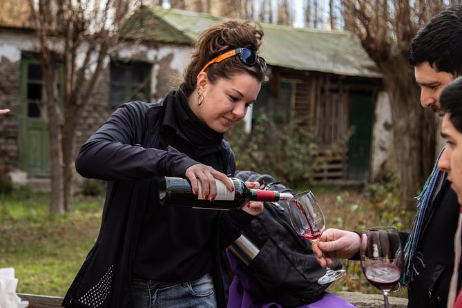 Calafate Wine Tours Pedestrian City Tour Paired With Wines - Itinerary Highlights