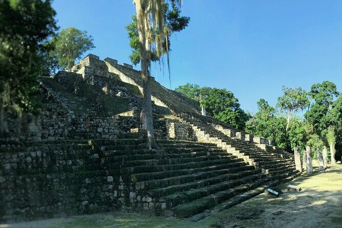 Calakmul, Ancient Maya City from Bacalar or Chetumal - Exploring the Calakmul Archaeological Site