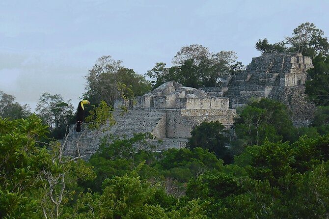 Calakmul, Ancient Maya City from Bacalar or Chetumal - Practical Details and Logistics