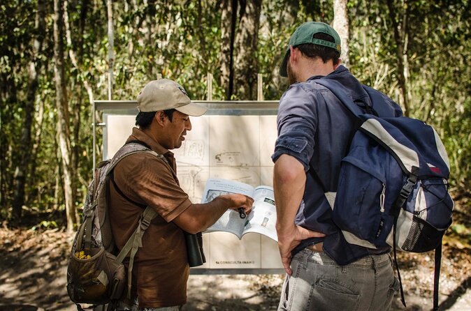Calakmul Ancient Maya City Tour - From Campeche - How to Get to Calakmul Ancient Maya City From Campeche
