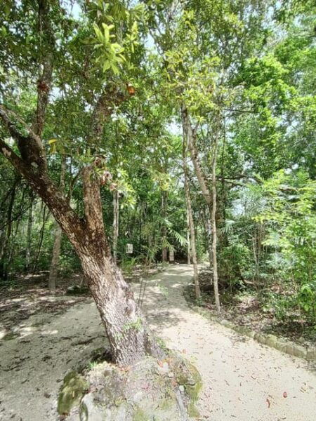 Calakmul Highlights | Frieze+Bat Cave+Jungle+Ruins - Frequently Asked Questions