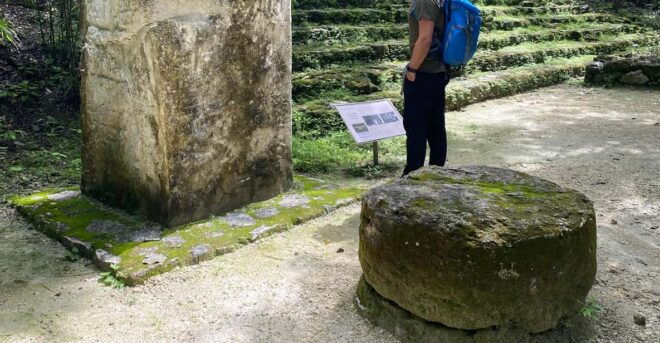 Calakmul Ruins & Stop In The Jungle - Wildlife and Nature