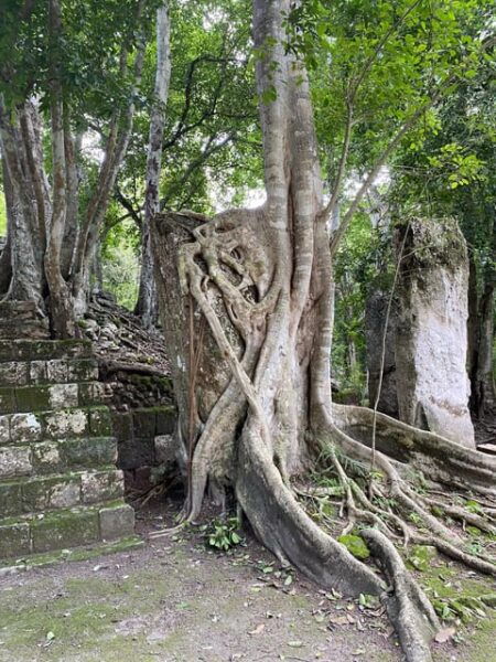 Calakmul Ruins & Stop In The Jungle - Frequently Asked Questions