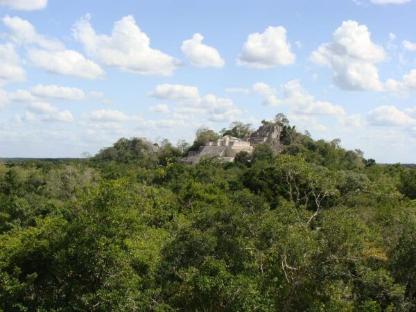Calakmul: The Jewel in the Jungle - Getting to Calakmul