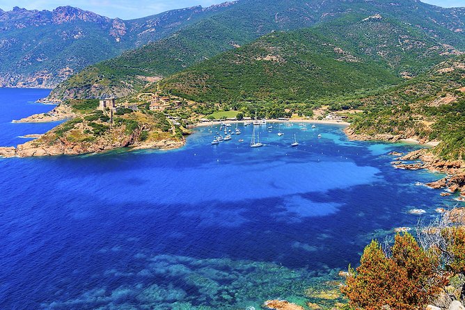 Calanches De Piana and Scandola Reserve Cruise With Swimming Stop - The Sum Up