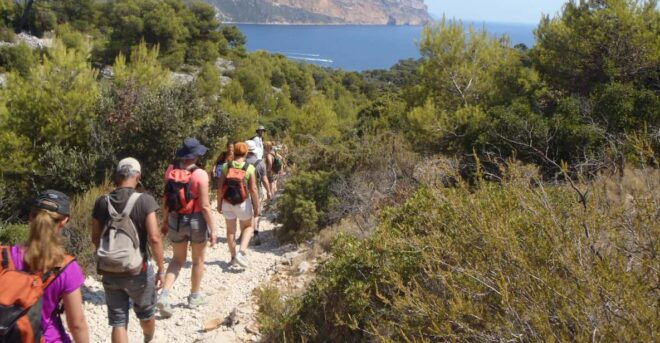 Calanques De Cassis: Hiking Day Trip - Hiking Experience Highlights