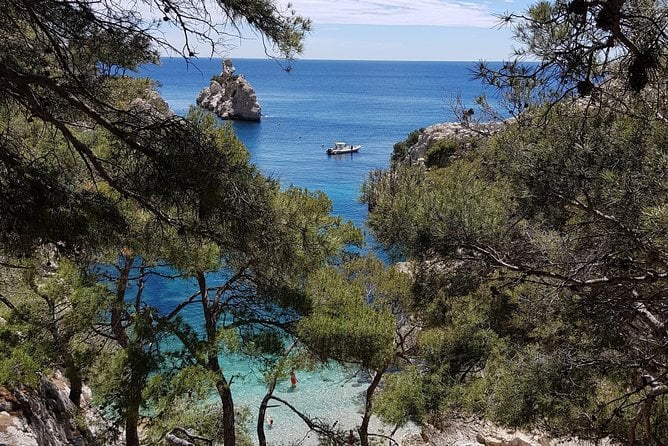 Calanques National Park Guided Hiking Tour - Important Information for Travelers