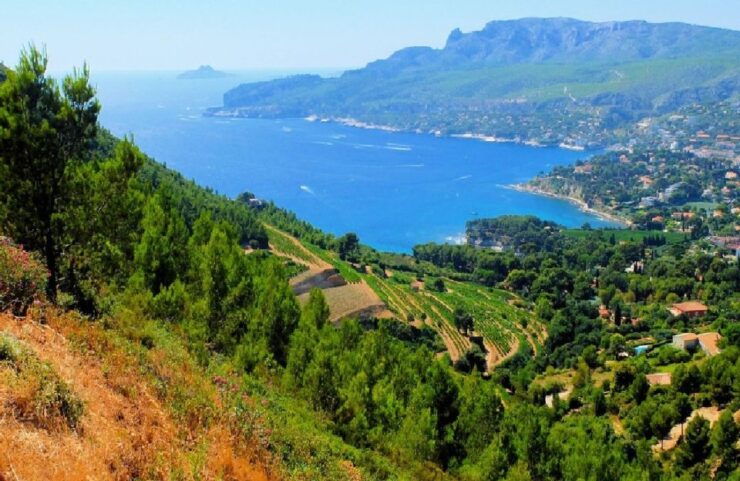 Calanques of Cassis, Aix-en-Provence & Wine Tasting Day Tour - Discover Aix-en-Provences Old Town