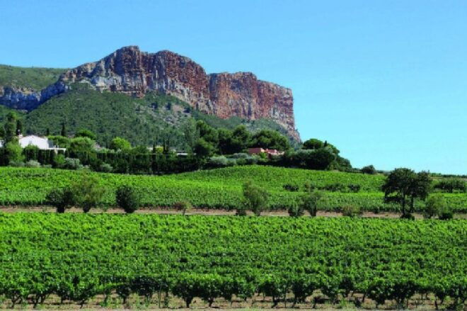 Calanques of Cassis, Aix-en-Provence & Wine Tasting Day Tour - Enjoy a Boat Cruise in Massif Des Calanques