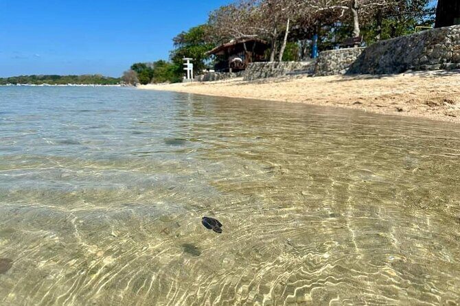 Calatagan Beach Waterpark Island Hopping Adventure from Manila - Who Will Love This Tour?