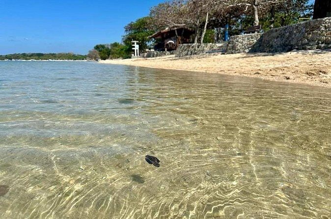 Calatagan Beach Waterpark Island Hopping Adventure from Manila - FAQ