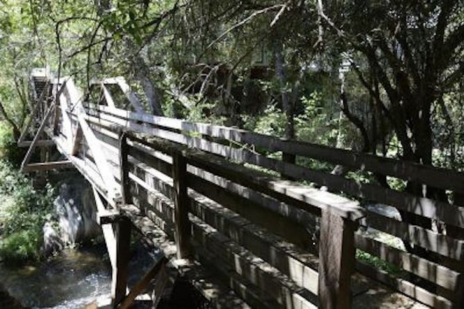 Calaveras County Scavenger Hunt: UnFROGettable Angels Camp - Event Overview