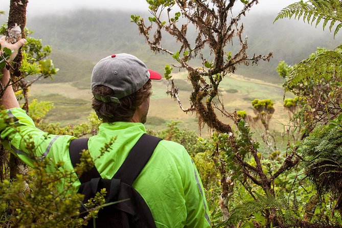 Caldeira Do Faial Descent - Private Hiking Tour - Overview of Caldeira Do Faial Reserve