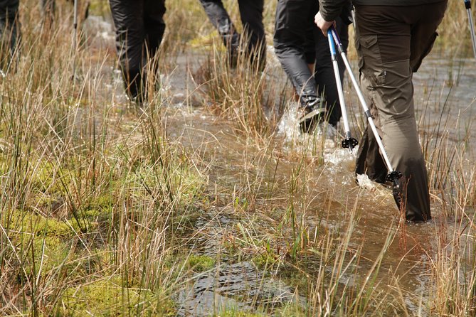 Caldeira Do Faial Descent - Private Hiking Tour - Requirements for Accessing the Reserve