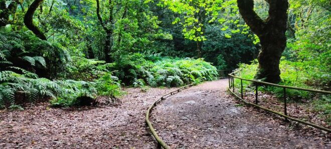 Caldeirão Verde Levada: Roundtrip Transfer & Hike - Main Stop Highlights